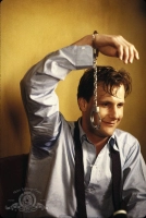 Дика штучка - Скріншот 2