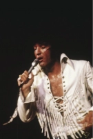 ''Елвіс: Все, як є'', або ''Так це відбувалося'' - Скріншот 1