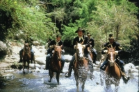 Ріо Лобо - Скріншот 2