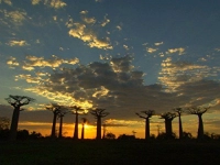 Таємнича Африка - Скріншот 4