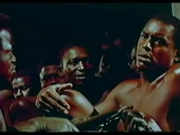 Таманґо - Скріншот 2