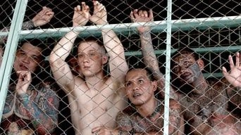 Фонове зображення Бої без правил