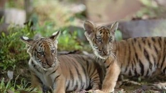 Фонове зображення Двоє братів