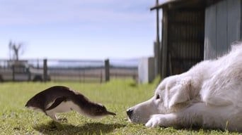 Фонове зображення Дивак