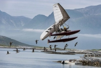 Розправ крила - Скріншот 1