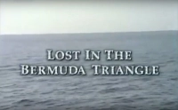 Зниклі в Бермудах - Скріншот 2