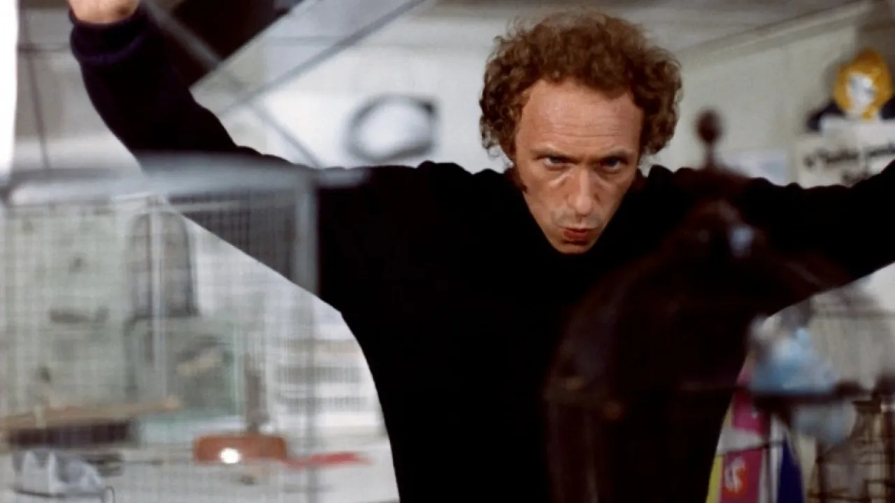 Фонове зображення Розсіяний