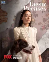 Некоронована принцеса - Скріншот 1