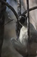 Наша планета - Скріншот 4