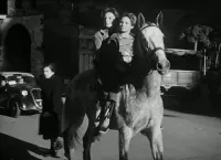 Чистильники взуття - Скріншот 2