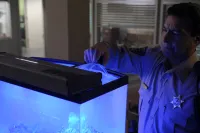 Сирена - Скріншот 1