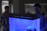 Сирена - Скріншот 3