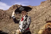 Три аміго - Скріншот 1