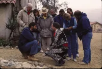 Три аміго - Скріншот 3