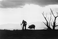 Війна на бобовому полі Мілаґро - Скріншот 2