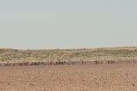 Брехня на спасіння - Скріншот 3