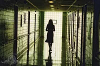 Темний ліс - Скріншот 4