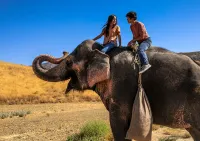 Втеча за Фіоною - Скріншот 2