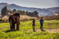 Втеча за Фіоною - Скріншот 4