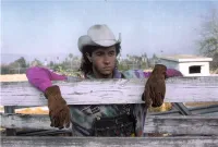 Зятьок - Скріншот 3