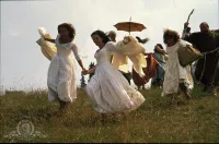 Багато галасу з нічого - Скріншот 4