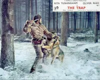 Пастка - Скріншот 1