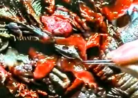 Підступний ворог - Скріншот 2