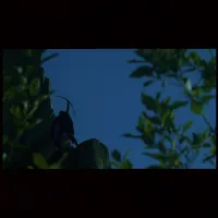 Брати Лев'яче Серце - Скріншот 2