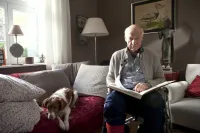 Все добре - Скріншот 1