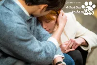 Хороший день, щоб бути собакою - Скріншот 1