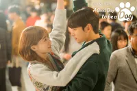 Хороший день, щоб бути собакою - Скріншот 2