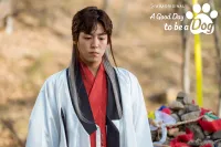 Хороший день, щоб бути собакою - Скріншот 3