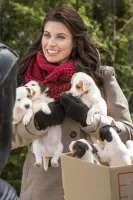 Поїздка в Сіетл - Скріншот 2