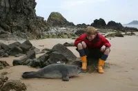 Сяйво веселки / Світло веселок - Скріншот 1