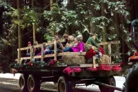 Різдвяна ескапада - Скріншот 4