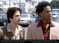 У погоні за Папі - Скріншот 3