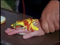 Завжди готові - Скріншот 4