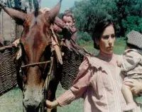 Четвірка - Скріншот 1