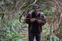 Ізоляція страху - Скріншот 2