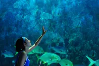 Рай океан - Скріншот 1