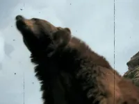 1000 способів померти - Скріншот 1