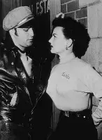 Дикун - Скріншот 4