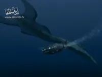 20 000 льє під водою - Скріншот 1