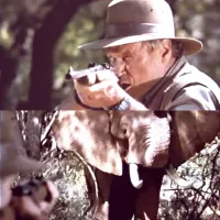 Аскарі - Скріншот 3