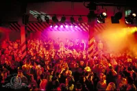 Цілодобові тусовщики - Скріншот 1