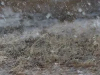 Дива природи - Скріншот 2