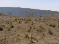 Галапагоси - Скріншот 2