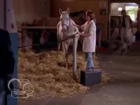 Готовий бігти - Скріншот 3