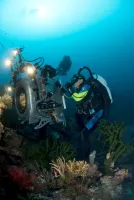 Морські глибини - Скріншот 1