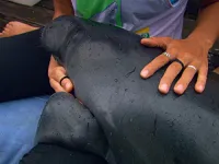 Останній шанс побачити - Скріншот 2